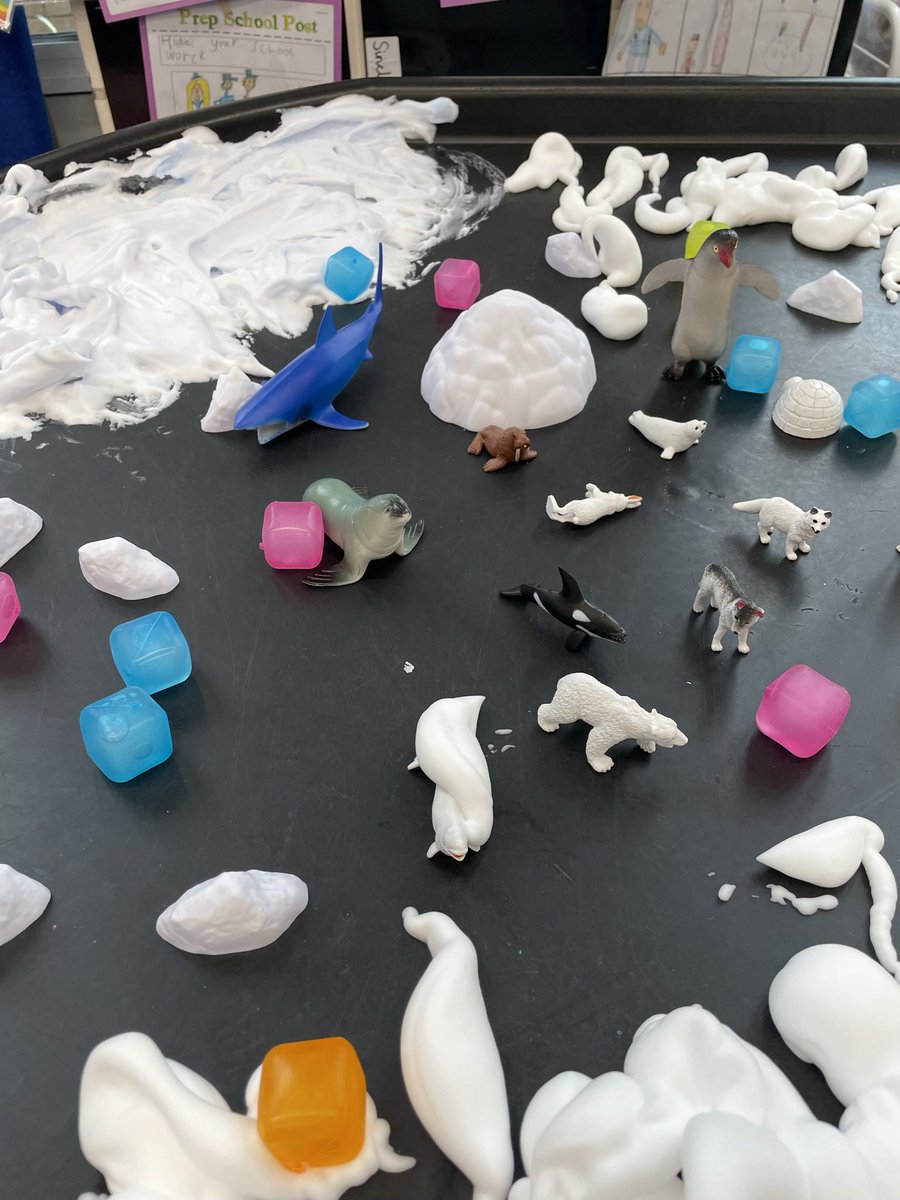 sword_miss's tweet photo. ARCTIC ANIMALS ❄️ Prep 2 loved exploring this set-up filled with arctic animals today! With shaving foam snow and some colourful reusable ice cubes to set the chilly scene 🐧🐋 they also had an extra challenge to see if they could build an igloo out of the cubes 🧊 https://t.co/0j42gz1WCl