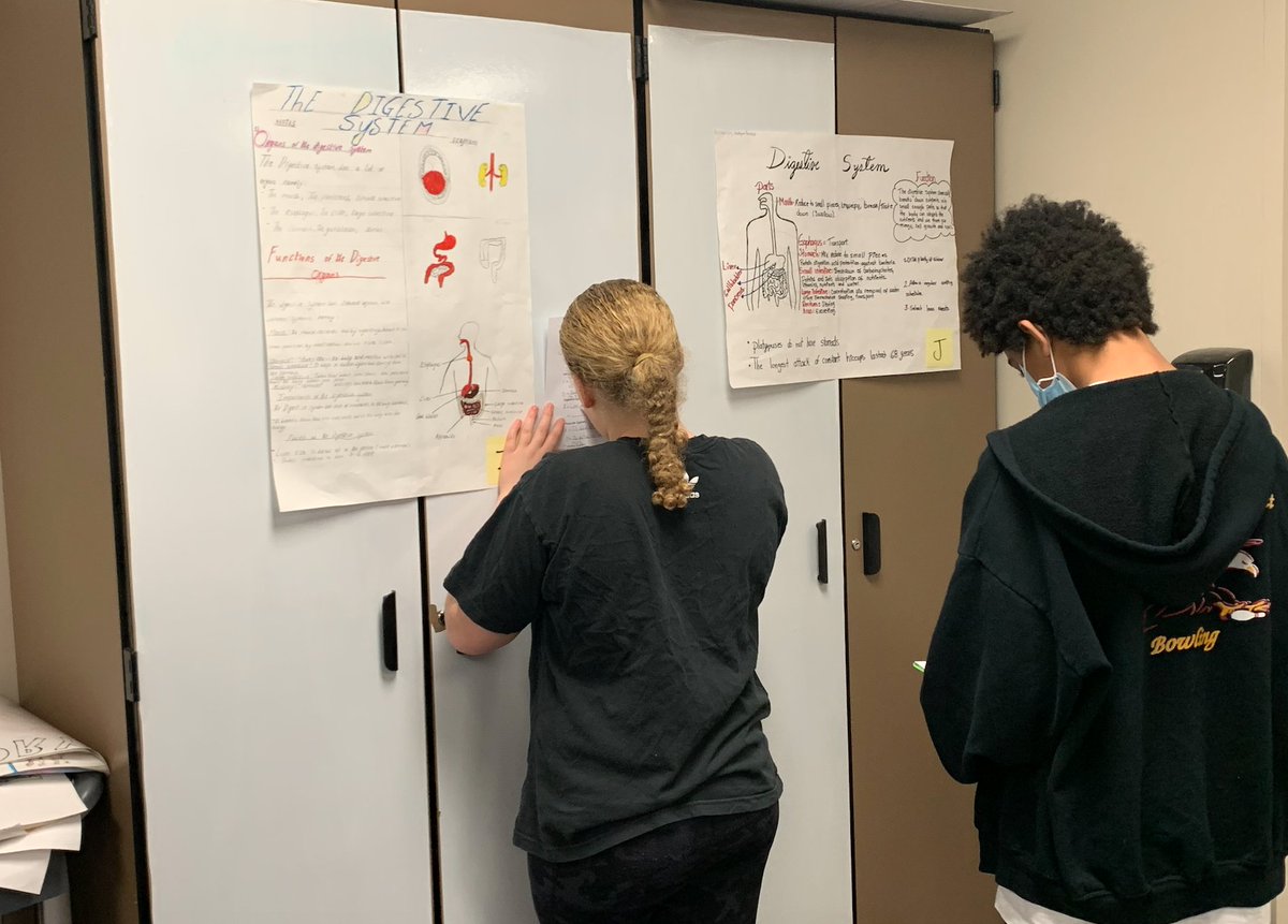 JParsons_DCS's tweet photo. Awesome to see @DMSIrish @haas220 incorporate Augmented Reality w/@MergeVR on the body systems project, and then show off their findings with a gallery walk https://t.co/cxNAoLFAnN