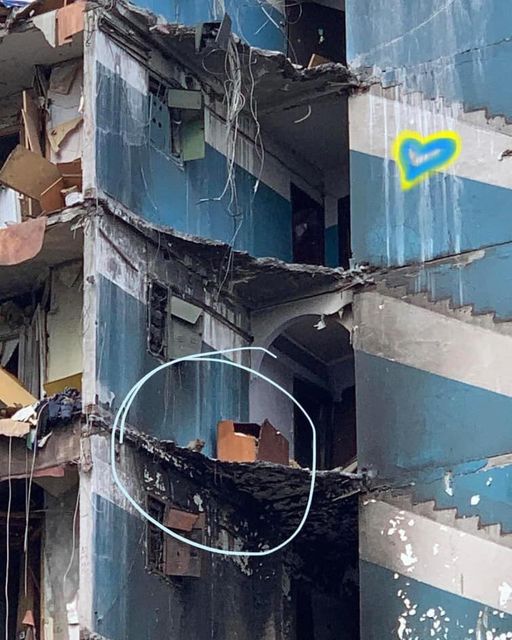 AKurkov's tweet photo. The cat from the 7th floor that survived russian shelling of Borodianka near Kyiv and was saved by firemen. https://t.co/CG0S9TArna