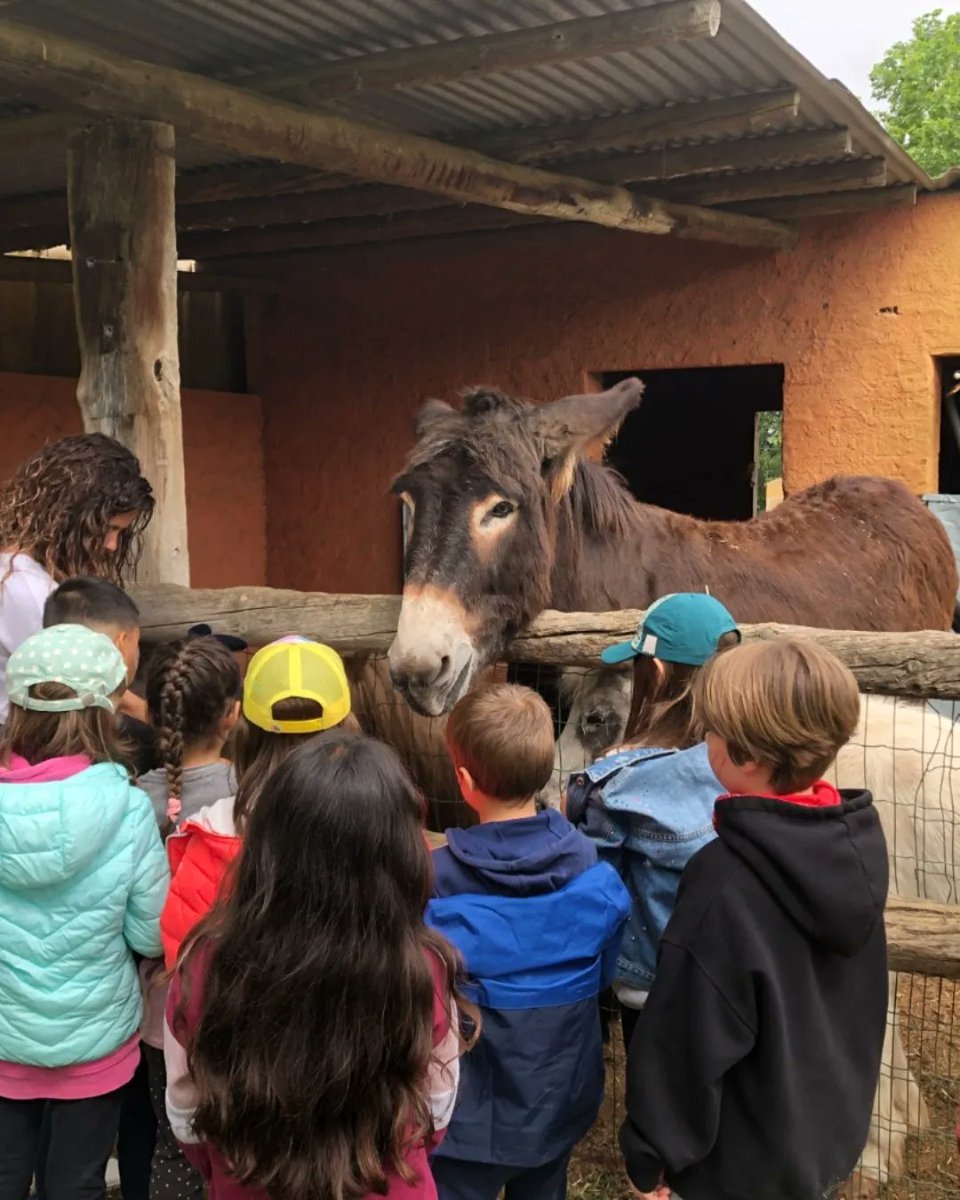 ie_martamata's tweet photo. Els nens i nenes de CI han gaudit, per fi, d'unes colònies.
Aquests dos dies han pogut realitzar un munt d'activitats: granja-escola, ceràmica i diferents jocs cooperatius. Ens ho hem passat molt bé! #PriIEMM https://t.co/iJVAqu5Cw6