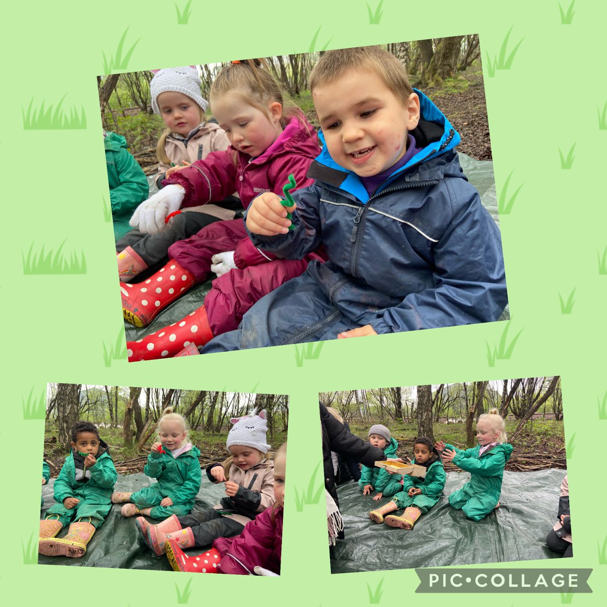 missallanBPS's tweet photo. The ❤️ and 💙 groups had fun exploring at @JupiterWildlife today 🌳 We learned about what seeds need to grow and sang some songs about a wiggly worms and hopping bunnies!
We also used teamwork skills to build a gruffalo den 🪵 @beanxnursery @MissMarshallx92 https://t.co/uRPJkOjRm8