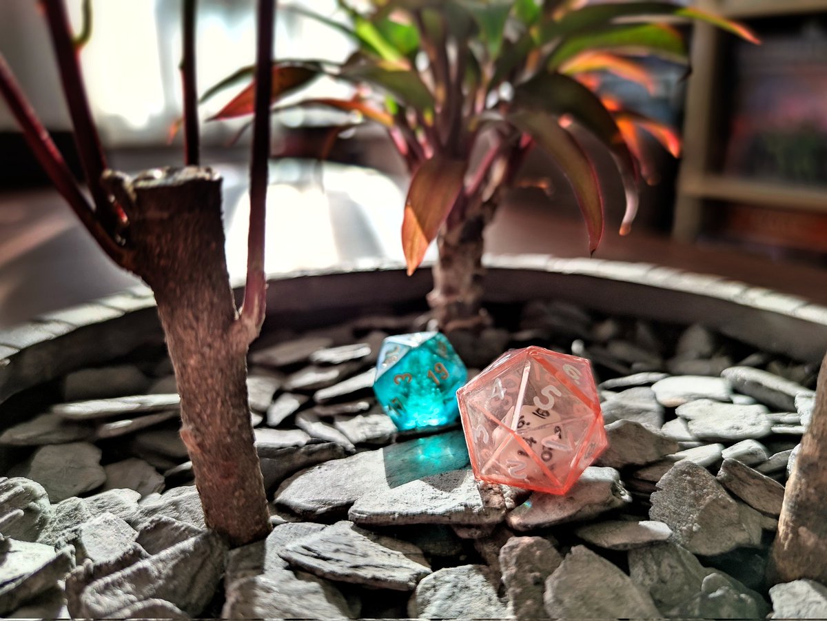 New lifelong adventure starting late summer ♥️