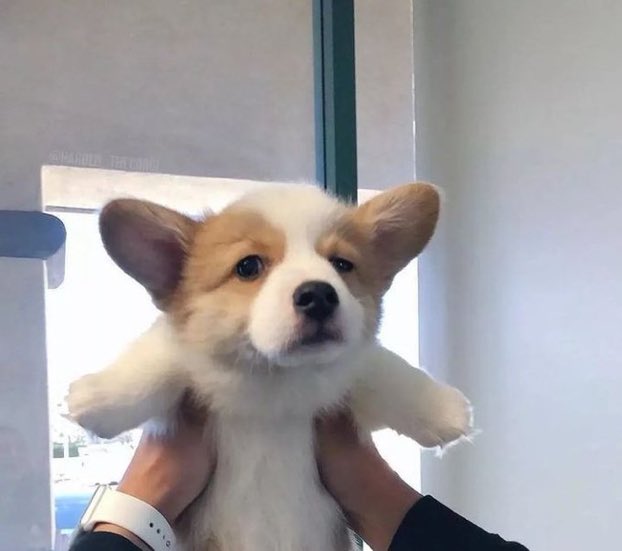 นายห่าว