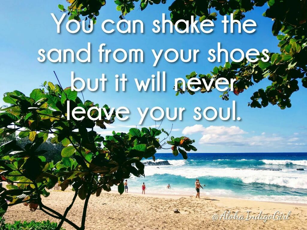 AlohaIndigoGirl's tweet photo. Who agrees? π
πππ€π»
#Hawaii #Oahu #northshore #pupukea #threetables #beachlife #beachvibes #oceanholic #foreverlove #welovehawaii #weloveoahu https://t.co/nHs25C33aQ https://t.co/qkQyDc0Jl7