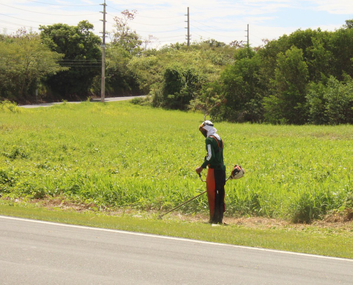 MHumacao's tweet photo. Personal de Ornato realiza trabajos en la Carretera PR-3, cerca del KM 76.8, frente al lago de la Reserva Natural Efrain Archilla Diez. https://t.co/NOGeZtyawm