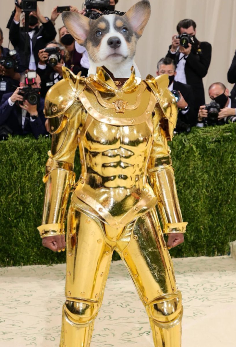 bodegacorgi's tweet photo. @PAVGOD I wore this super uncomfortable suit of armor for nothin I guess https://t.co/Lf4wLDeoJG