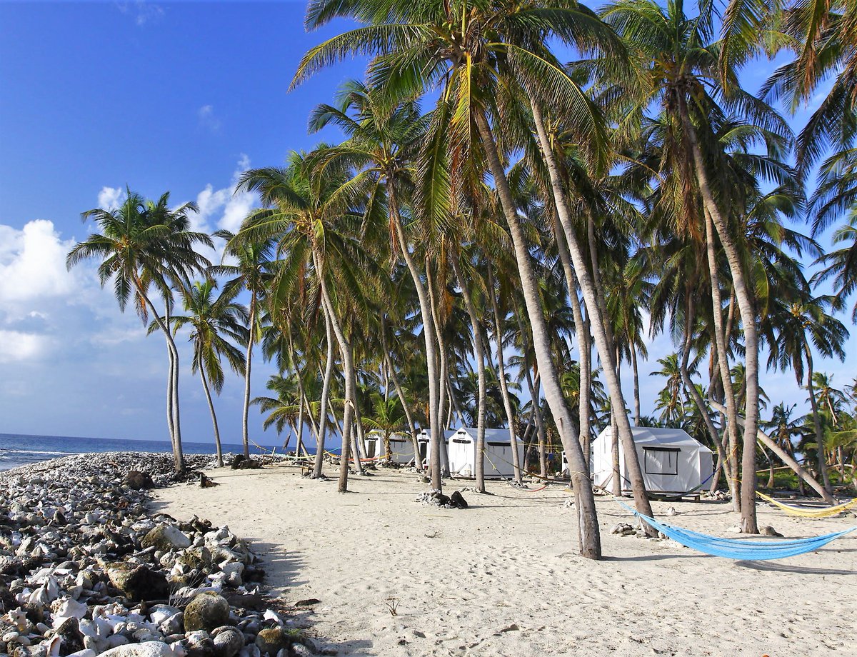 AtlasTravelLAT's tweet photo. 🌴 Belize &amp; Tropical Island Glamping!
 
Basecamps at Glover’s and Lighthouse Reef in Belize offer the perfect setting for families.

Learn more with @islandexp at:
https://t.co/ZXu8prHBKA

#atlasadventuretravel #islandexpeditions #belize #belizetravel https://t.co/pjX5ulHyrY