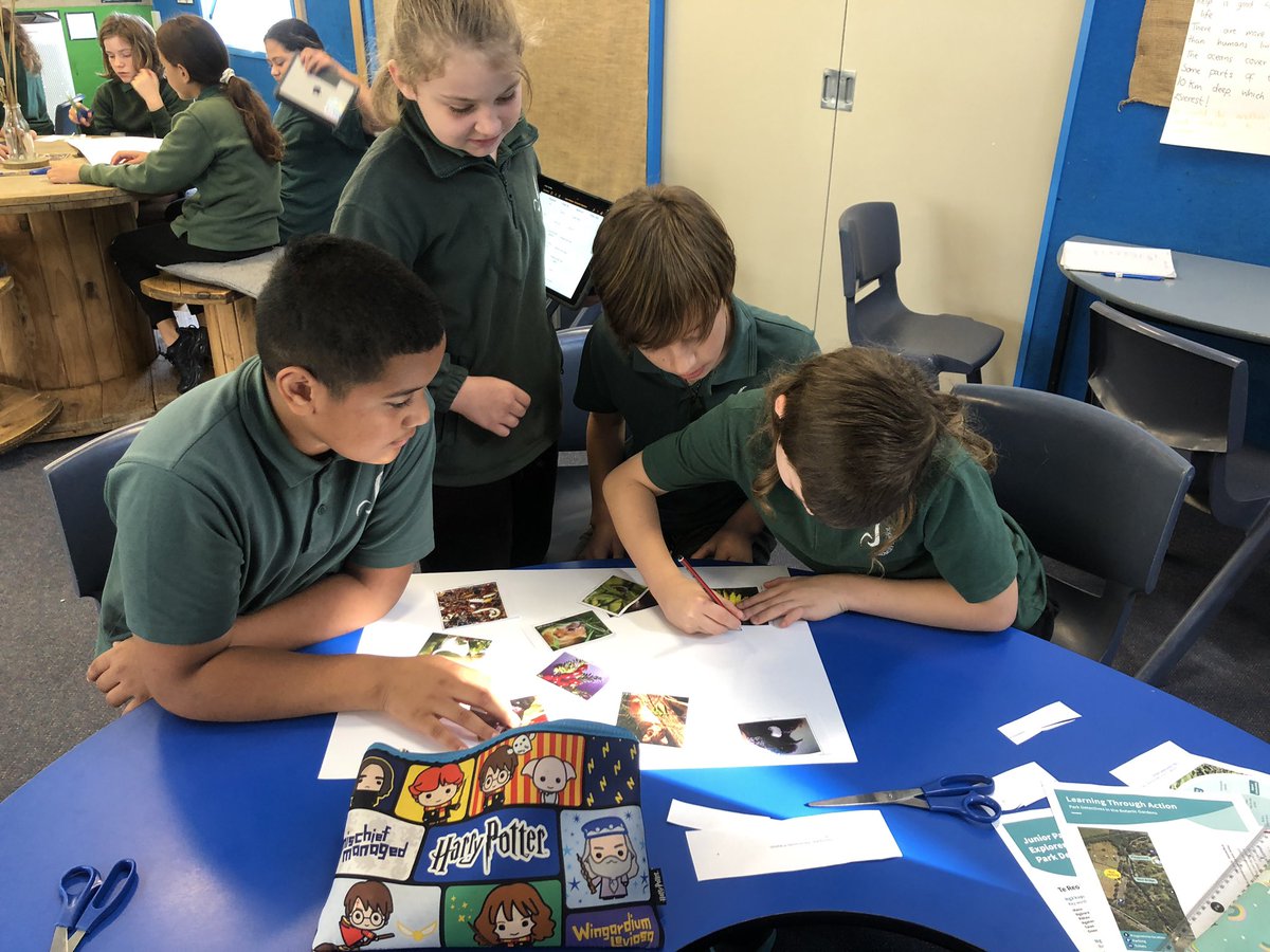koru4bromley's tweet photo. This week we have been working on our inquiry in preparation for our trip on Thursday. We spent time discovering living organisms in Cypress Gardens. Yesterday we learned about food webs. We can’t wait to continue expanding our knowledge and curiosity! #bromleyschoolnz https://t.co/6wpDImpA0c