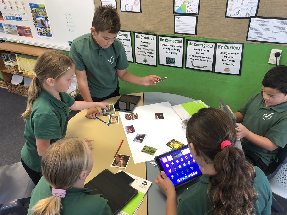 koru4bromley's tweet photo. This week we have been working on our inquiry in preparation for our trip on Thursday. We spent time discovering living organisms in Cypress Gardens. Yesterday we learned about food webs. We can’t wait to continue expanding our knowledge and curiosity! #bromleyschoolnz https://t.co/6wpDImpA0c