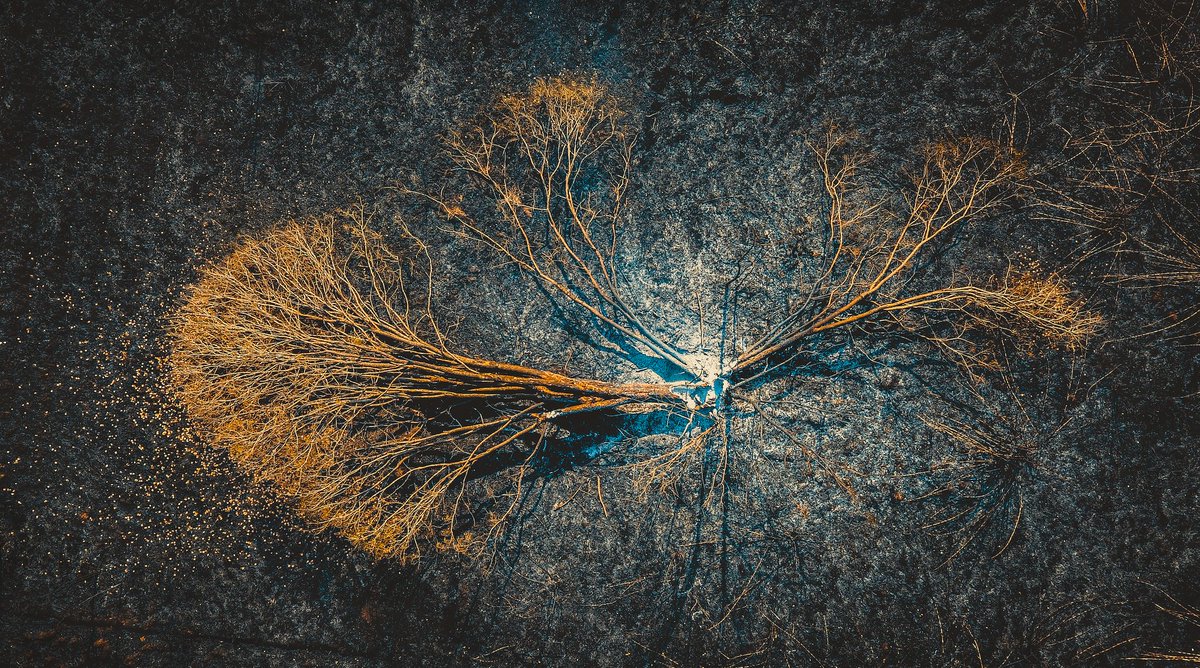 NasidaStudio's tweet photo. "Falling Down" my NFT photography has been listed, Check out this NFT on @withFND! 🌐

https://t.co/qezndTv7CR

#NFTs #NFTCommunity #nftphotography #nftcollector #nftphotographer #photography #NFT #NFTartists https://t.co/YKqbVm6358