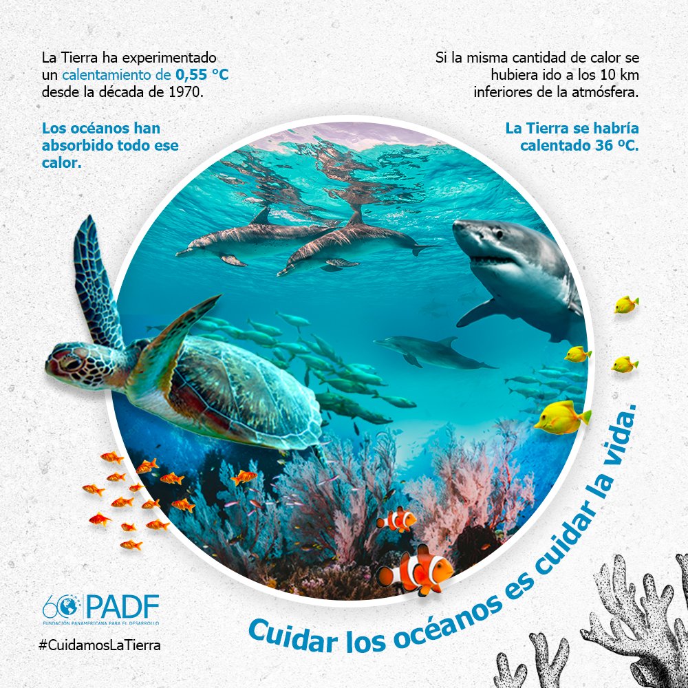 PADFMexico's tweet photo. La tierra esta experimentando un calentamiento global. Desde los años 70´s ha aumentado 0,55 grados, el calor emanado lo han absorbido los océanos🌊. La exploración e investigación científica son cruciales para su conservación🙌🏾
#CuidamosLaTierra
#STEMForOceans https://t.co/R73qZAfkui