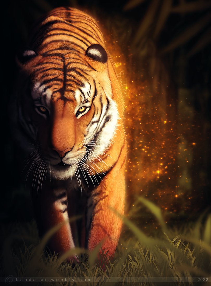 人気新品 ♥Tiger様♥ - アルバム
