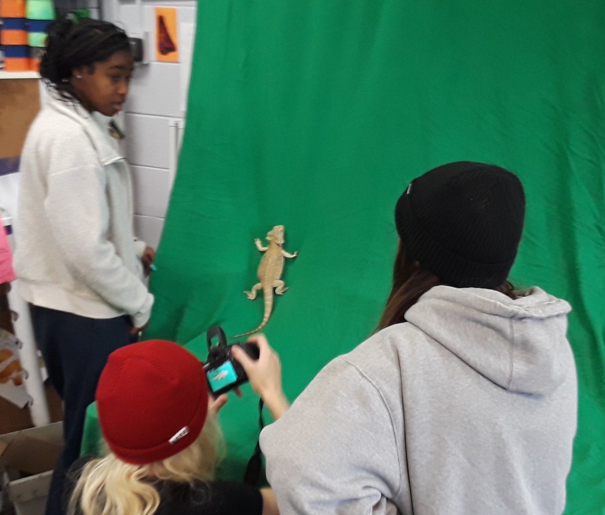 Students at our Ozaukee Community HS learning photography, editing and collaborating to make photo portfolios, all while also learning about bearded dragons!