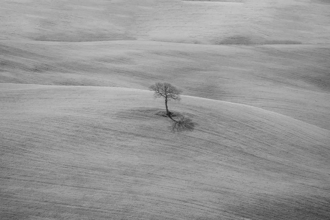 Minimalphotos's tweet photo. Photo by Giorgia Rizzi

#minimalphotos
#art #photography #photooftheday #dailyphoto
#landscape #NaturePhotography #photographer #photo #minimalistphotography #minimalistphotographyawards #minimalism   #minimalistphotographerscommunity
#fotografia #عکاسی #Fotografie https://t.co/ApPGeNDRYK