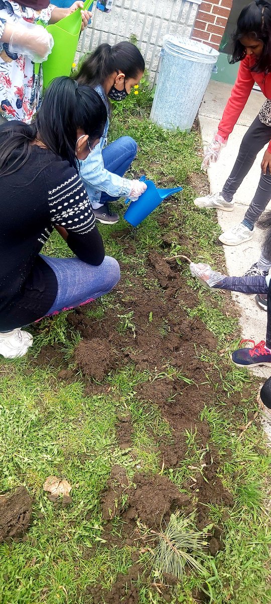 monique_smith00's tweet photo. T'was so much fun and learning #connectingwiththeland and  #gettingourhandsdirty🌱 today @malvern_ps. #GetOutsideMonth @TOES_TDSB
 
@MmeCheong @bloommrs1 @PavlovicMrs @bonnietopple https://t.co/yobJD0yU24