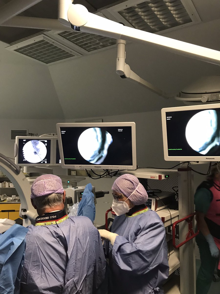 proximedsrl's tweet photo. today last day in the company of  @ValerioBeatrici for the training course on kidney and ureteral stones! #UroSoMe  #SIU @VLacetera @lucaleone1985 @EMSUrology @Innovexmedical @SimoScarc @chiaridelprete @MarcoSommaro @DimedOnline @lisalaseruro https://t.co/WzaABfuGDR
