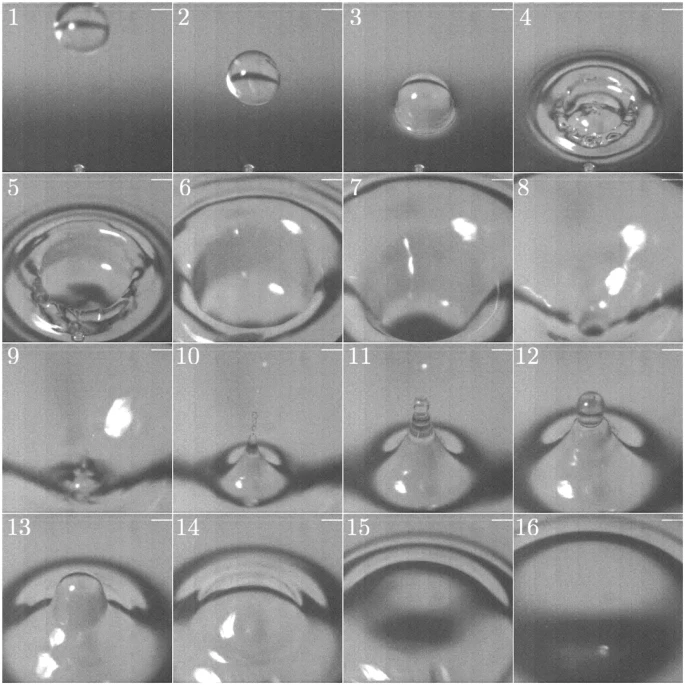 astropierre's tweet photo. Si de nombreux travaux ont été réalisés sur la physique des gouttes d'eau tombant dans un liquide, peu de recherches ont été menées sur ce qui produit le son caractéristique d'une goutte d'eau frappant une surface liquide... jusqu'à maintenant.
#Plic #Ploc
https://t.co/6fp1hJb0xK https://t.co/Y5fr19XRaG