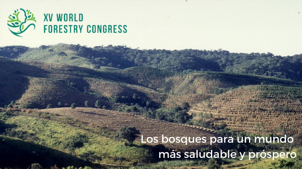 FAO Colombia tweet media