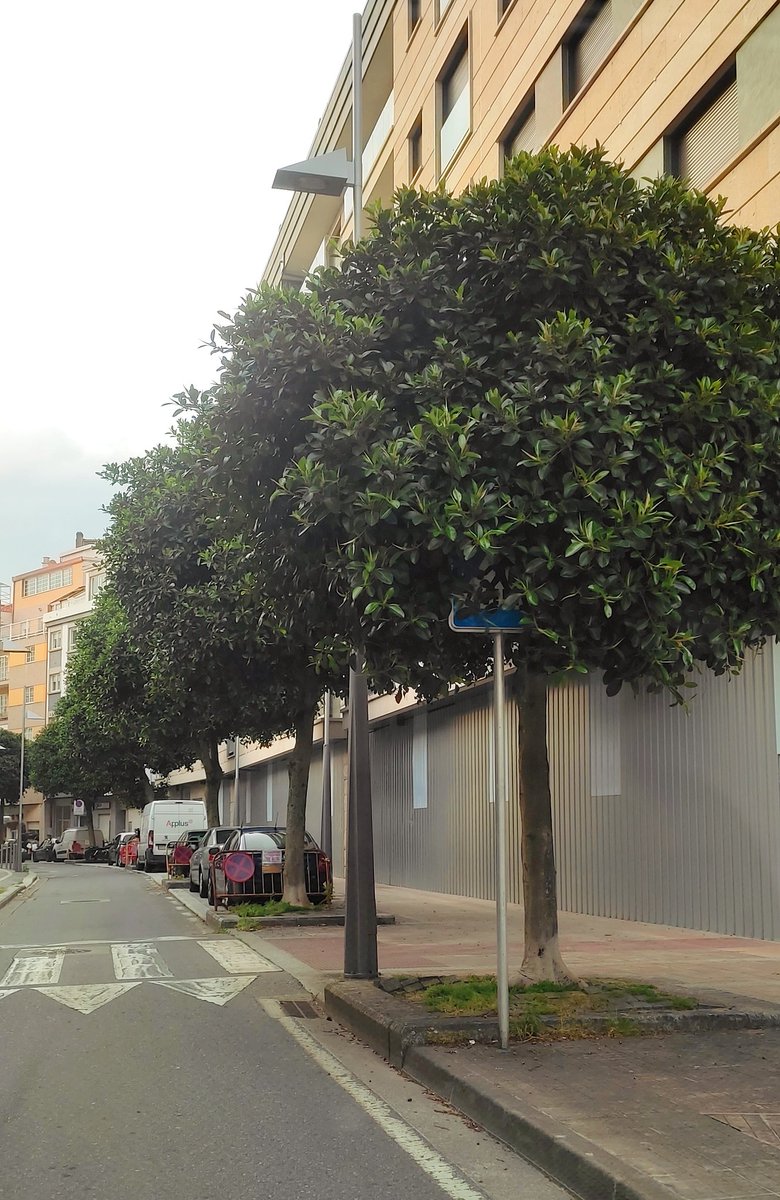 De vez en cando síntome así, coma a sinal... E oes, nin tan mal!