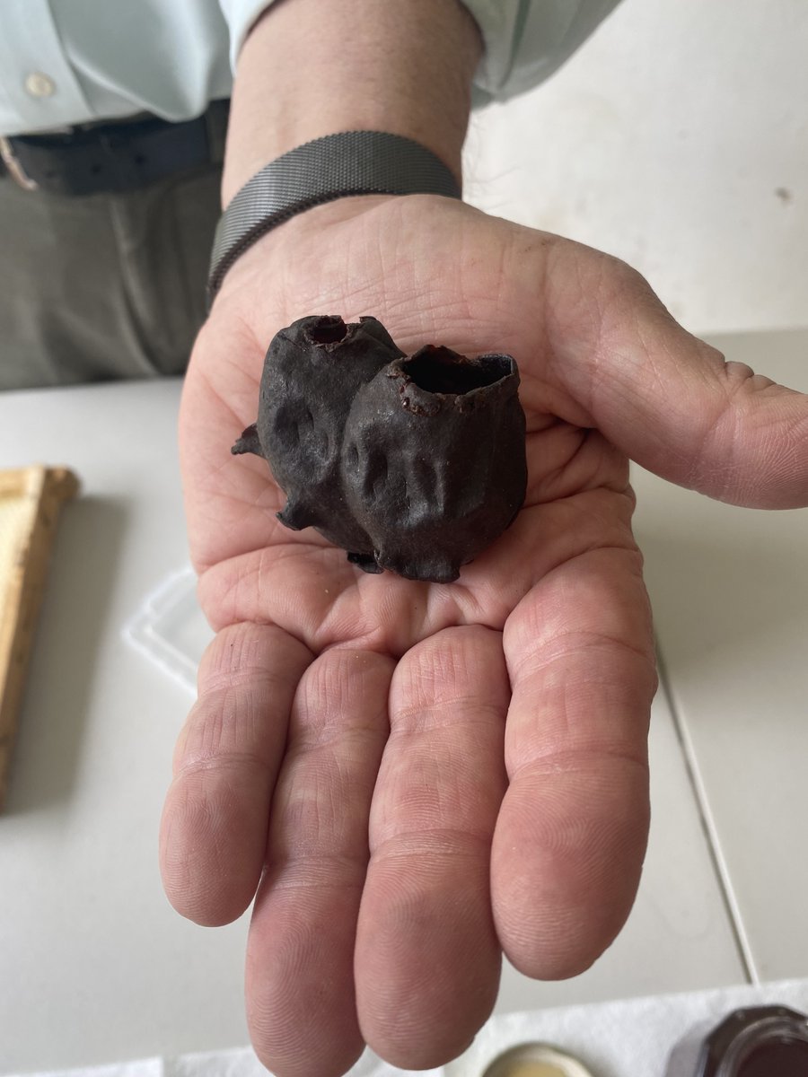 Business for a Better World Center tweet media