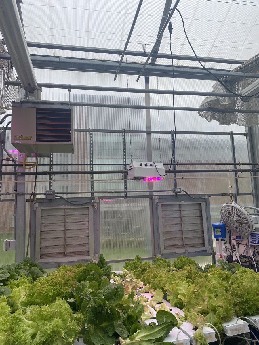 Have you seen the #HBI Beehives🐝 or the Sustainable Greenhouse 🌱on campus? It was our pleasure to show our amazing guests from our PRME Biennial Meeting these projects at #Masonnation
<a href="/PRMESecretariat/">PRME Secretariat</a>