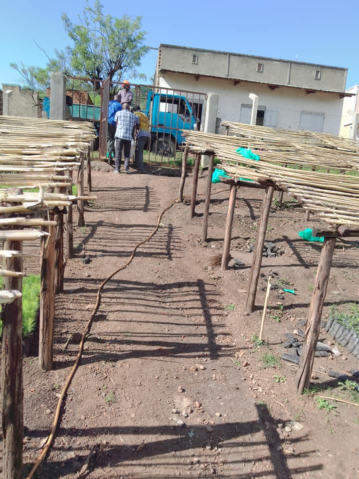gohumanityworld's tweet photo. Our friends in Kasese, Uganda have been planting over 500 pine trees for Secular #WeekOfAction! This includes 25 lemon and orange trees. #SecularAction
(Photos courtesy Bwambale Robert) https://t.co/Z48auJxpTB