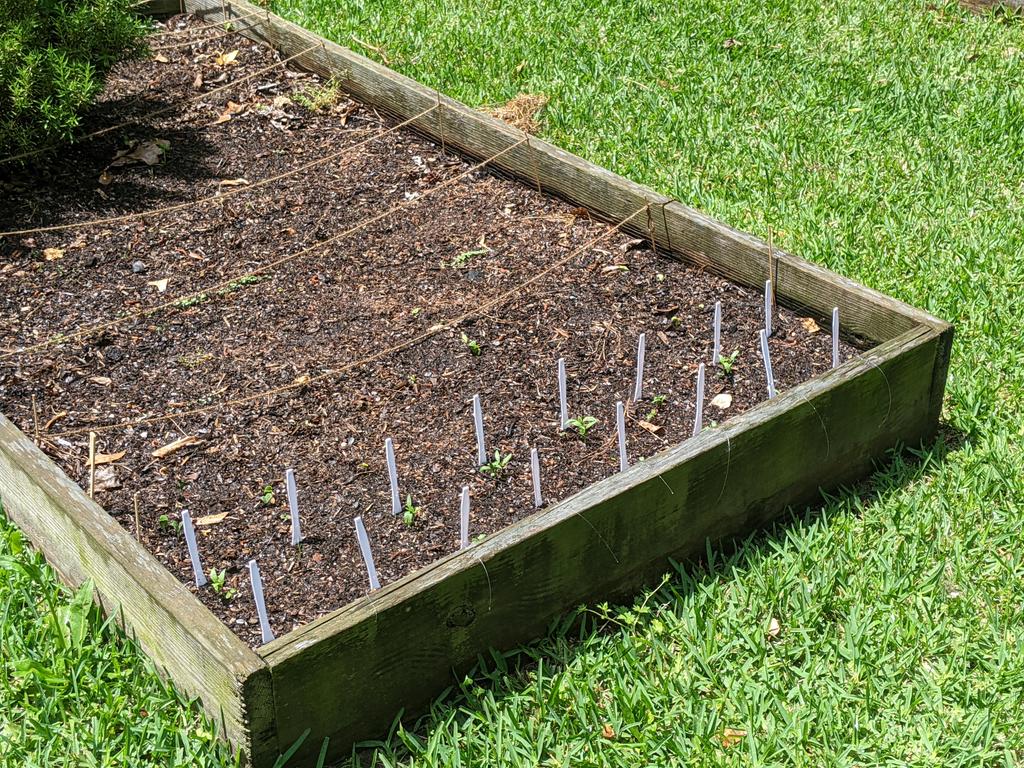 Greg Milton and 42 others tweet media