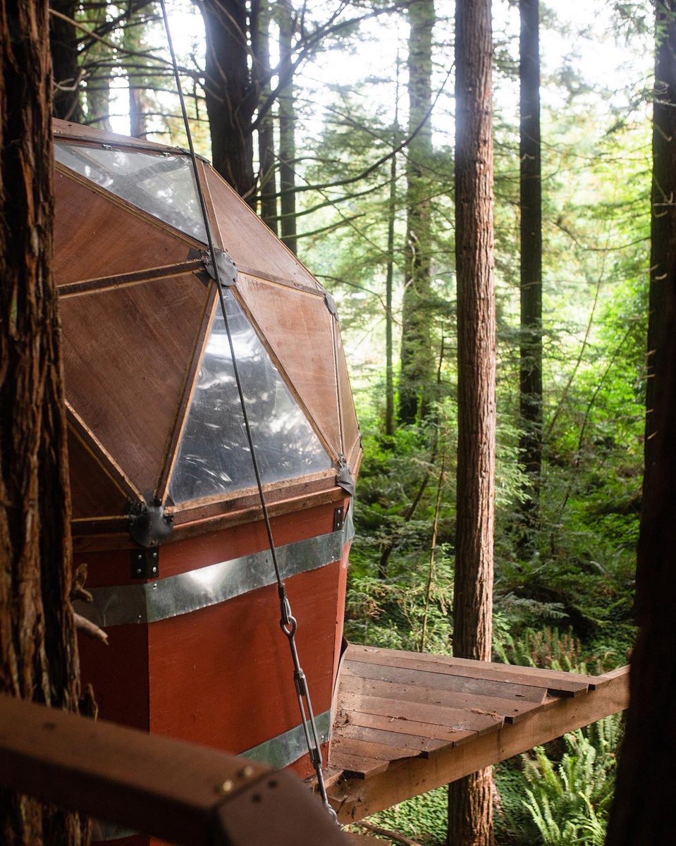 alexticegray's tweet photo. Dreaming of mornings in the Redwood Cathedral Treehouse 🤩 booked via @Hipcamp 📸
#travelphotography #nature #architecture #travel https://t.co/9sVtL5piB2