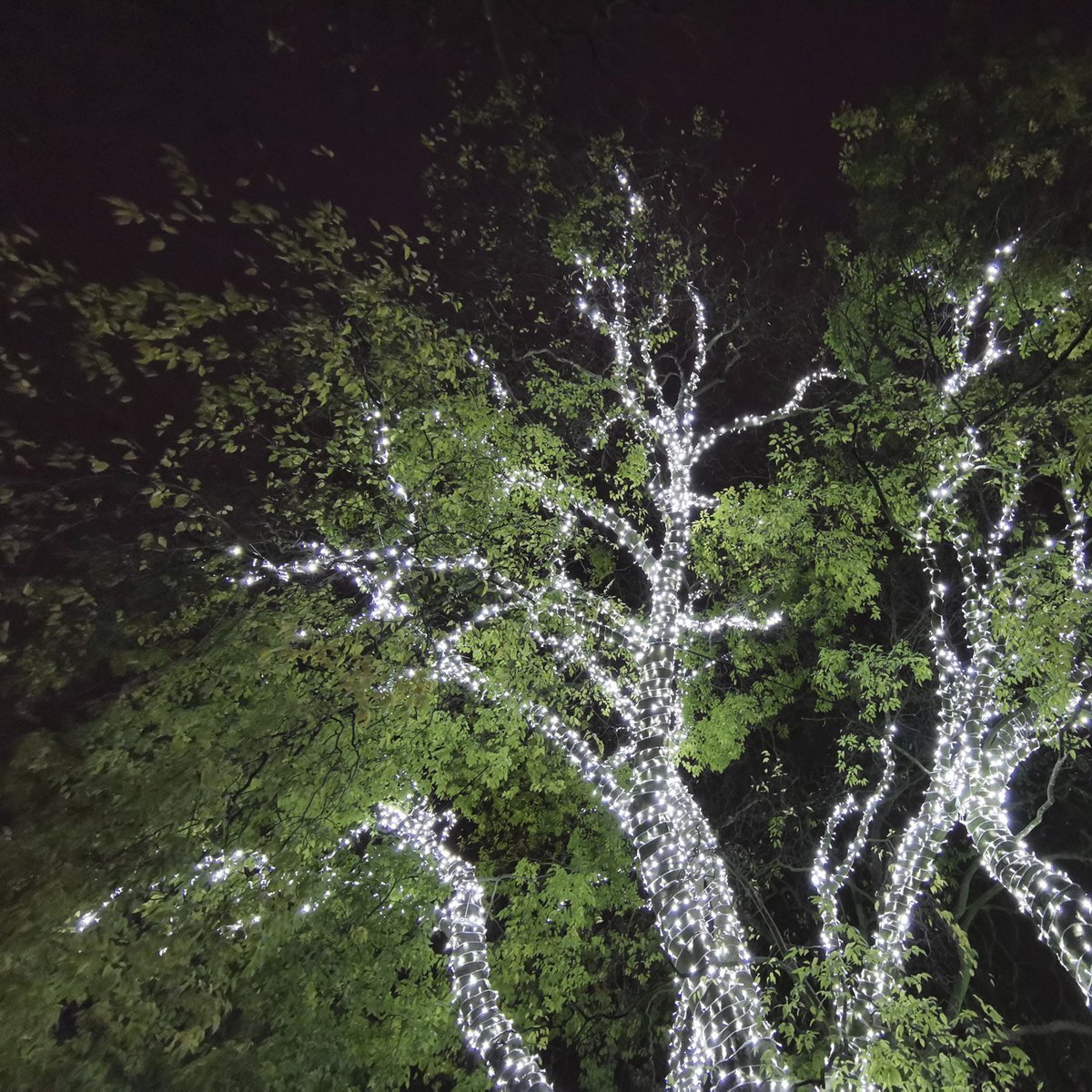 Visit me &amp; my photography <a href="/TPGallery/">The Photographers' Gallery</a> just off Oxford Street on Friday 6th May - 2pm to 5pm in the Eranda Studio, 3rd Floor. Free entry #photographersgallery #fineartphotography #fineartphotographylondon #conceptualphotography #landscapephotography