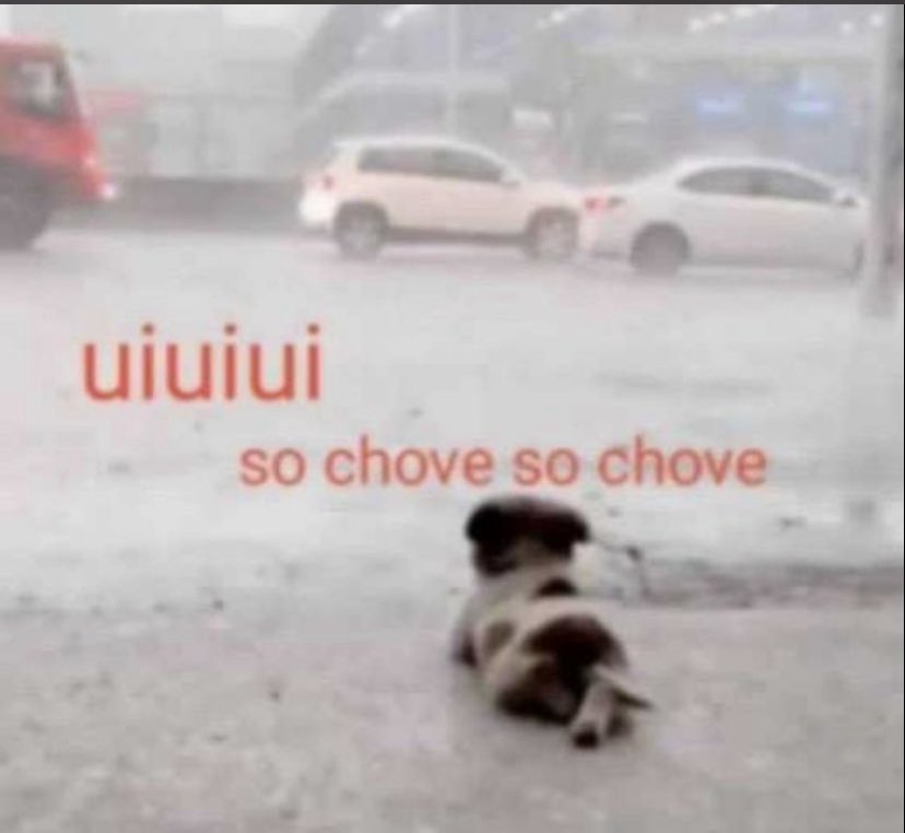 animaisfrases_'s tweet image. 