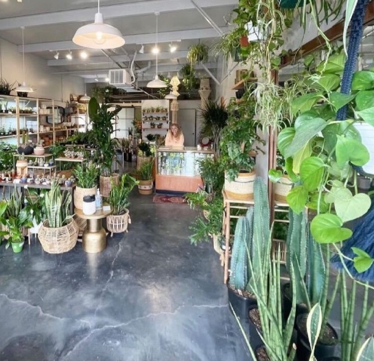 It's #SmallBusinessMonth, and we’re kicking it off by celebrating some of our favorite #BazingLocal businesses 

Our first business is Hoop House in Nashville, TN. They are currently offering 10% off your total purchase through the BaZing app! 

#SmallBusinessWeek