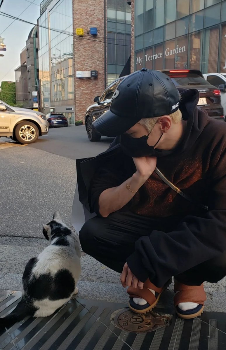 mvtdy's tweet photo. 🐱😽 https://t.co/951mhreFAZ