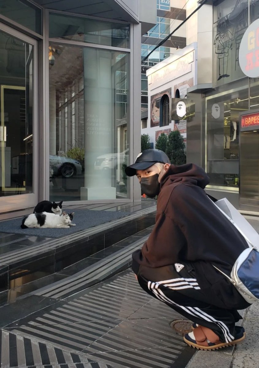 mvtdy's tweet photo. 🐱😽 https://t.co/951mhreFAZ