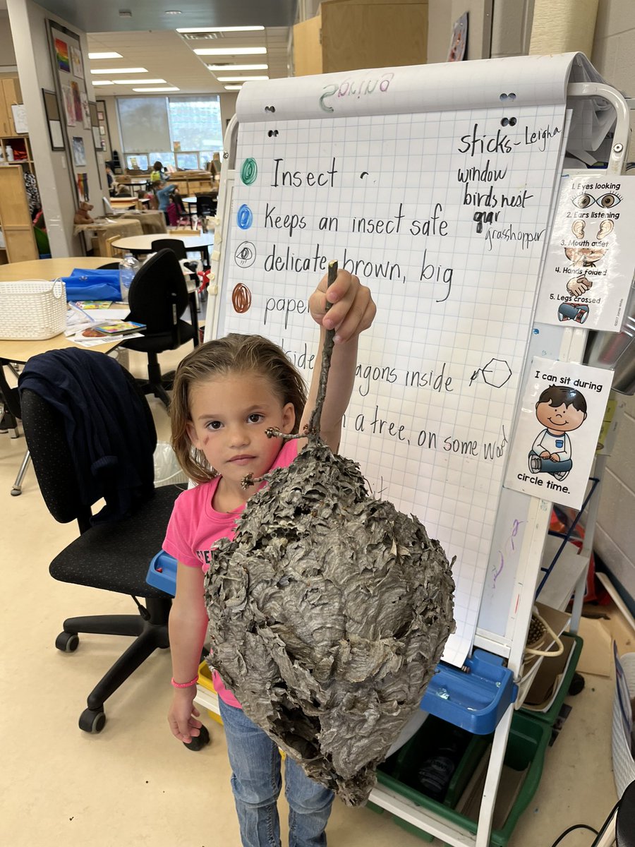 carolorourke17's tweet photo. I used the Expanded Expression Tool to provide good clues to students to guess what was hiding in the bag. EET helps with descriptive language for our littlest learners. #eet #expandingexpressiontool @LindsaySkene @WestgateWolves @MelindaHinch https://t.co/rtfXYxvg07