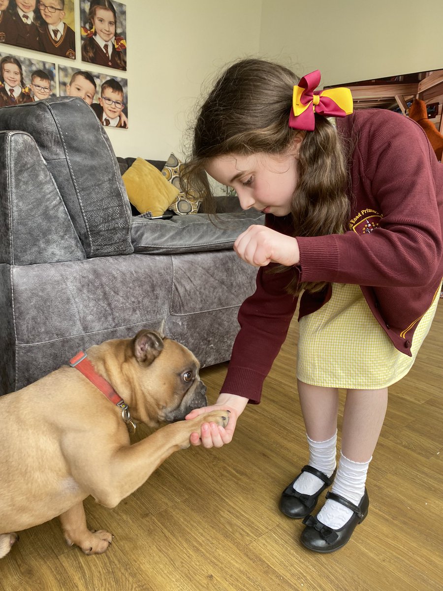MrsGriffalo's tweet photo. During screen free week I enjoy playing with and training my dog 🐶 @AnfieldRoadY3 @AnfieldPrimary https://t.co/hE0jEIgNXI