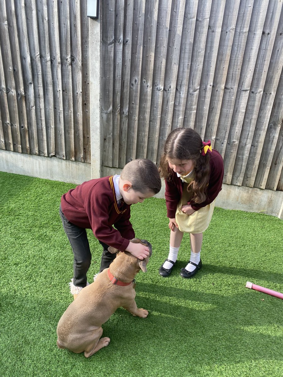 MrsGriffalo's tweet photo. During screen free week I enjoy playing with and training my dog 🐶 @AnfieldRoadY3 @AnfieldPrimary https://t.co/hE0jEIgNXI