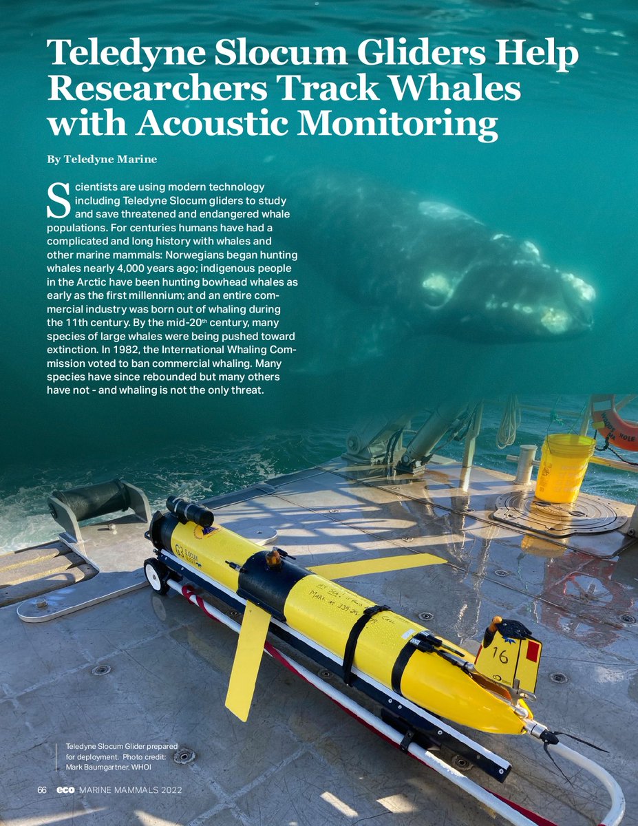 TeledyneMarine's tweet photo. The International Whaling Commission in partnership w/ECO Magazine -- Marine Mammal Edition. This special issue reveals the scale of challenges marine mammals face today &amp; measures taken to protect them. 
Read how Teledyne Marine Slocum Gliders have played a part in supportin ... https://t.co/wQXOgVaPml