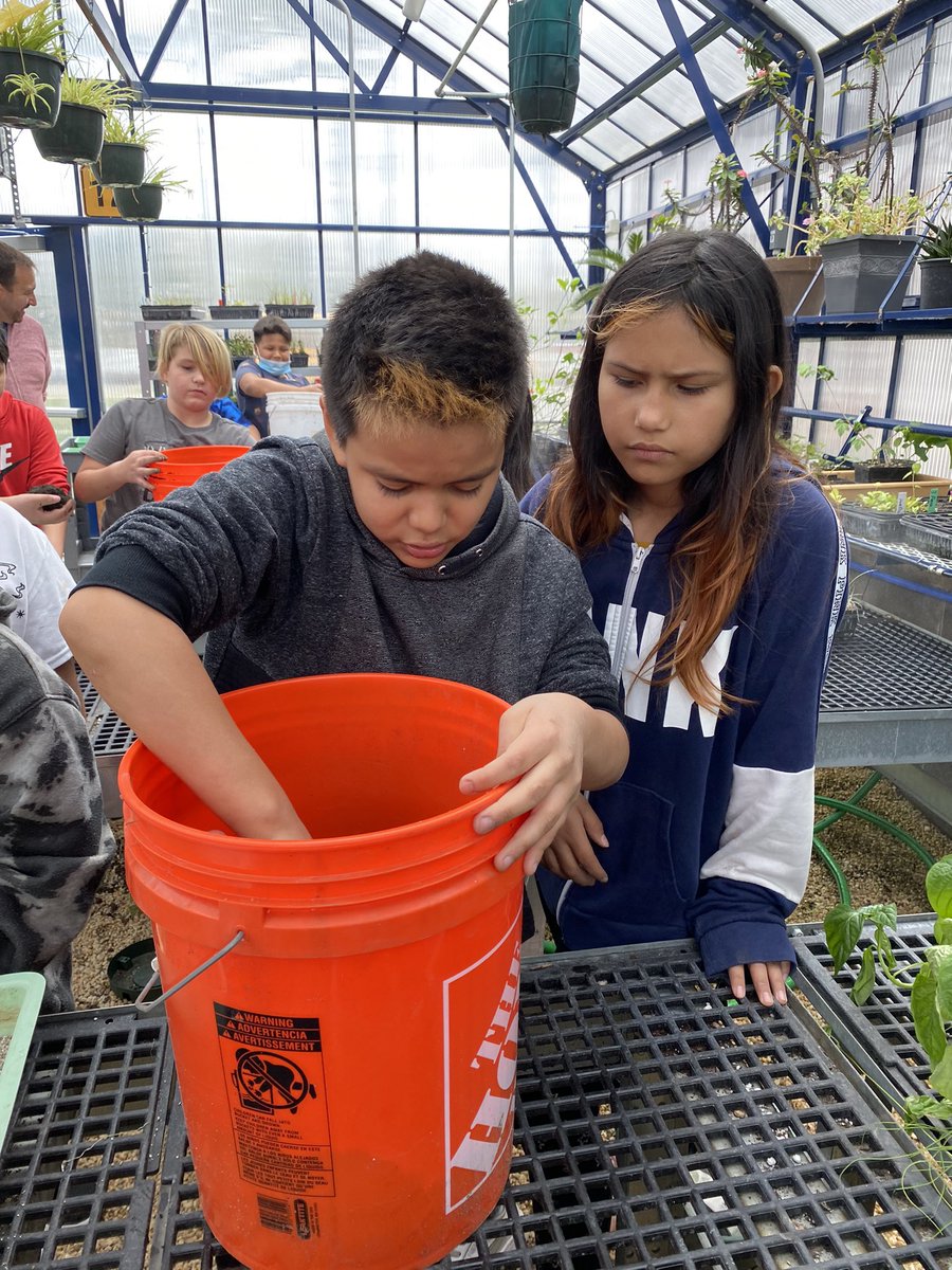 NptSTEM's tweet photo. The 4th grade pilot is underway with our Pulaski botanists learning about ecology and native plant science in the NHS Greenhouse!  More field experiences to follow!  #NNGI https://t.co/ZFUKjOvCkz