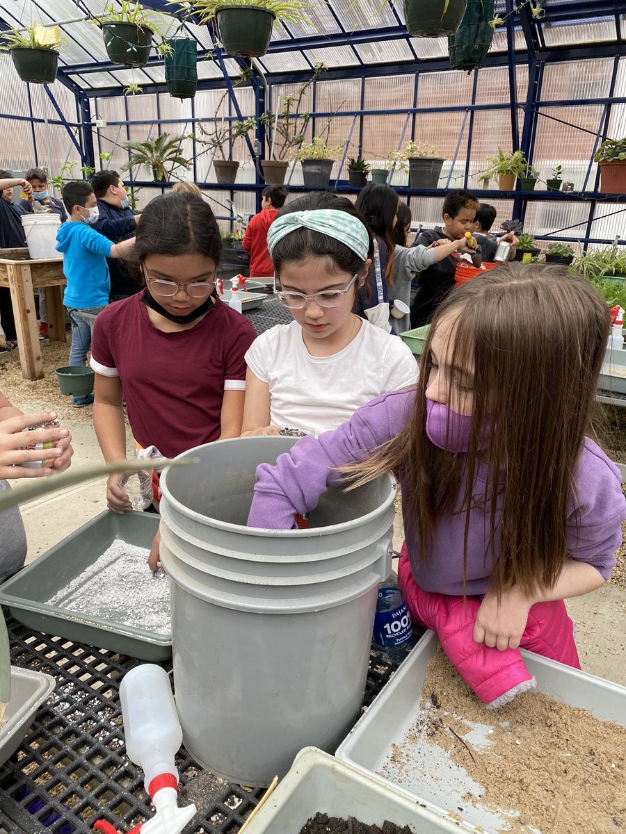 NptSTEM's tweet photo. The 4th grade pilot is underway with our Pulaski botanists learning about ecology and native plant science in the NHS Greenhouse!  More field experiences to follow!  #NNGI https://t.co/ZFUKjOvCkz