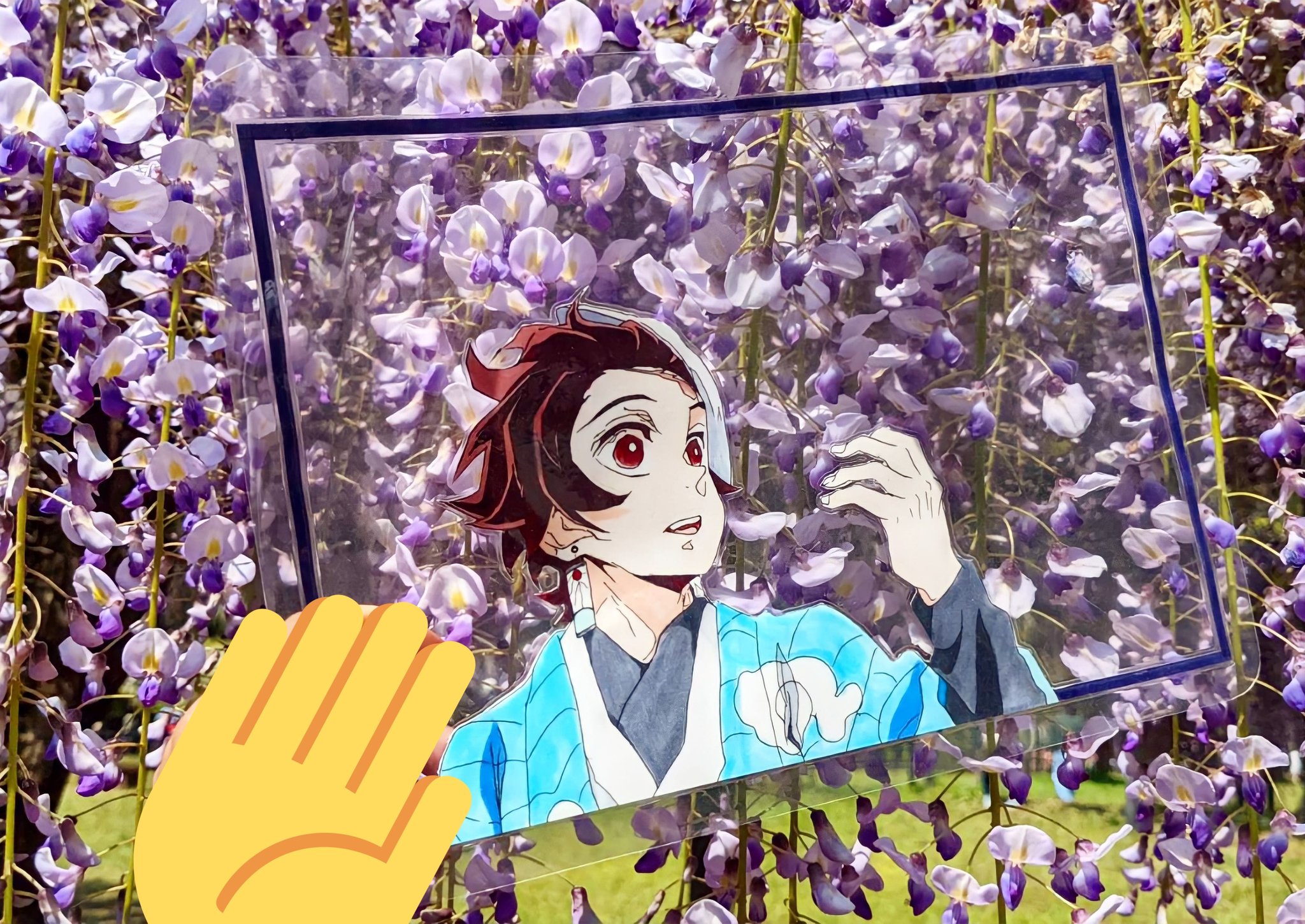 さくら とても久々の投稿 藤の花を見に行くことになった 1日前 絵を描いて切り取って ラミネートして写真撮りに 最終選別の時の炭治郎です 藤の花 鬼滅の刃炭治郎 鬼滅の刃イラスト T Co Zmwtpfbt0v Twitter