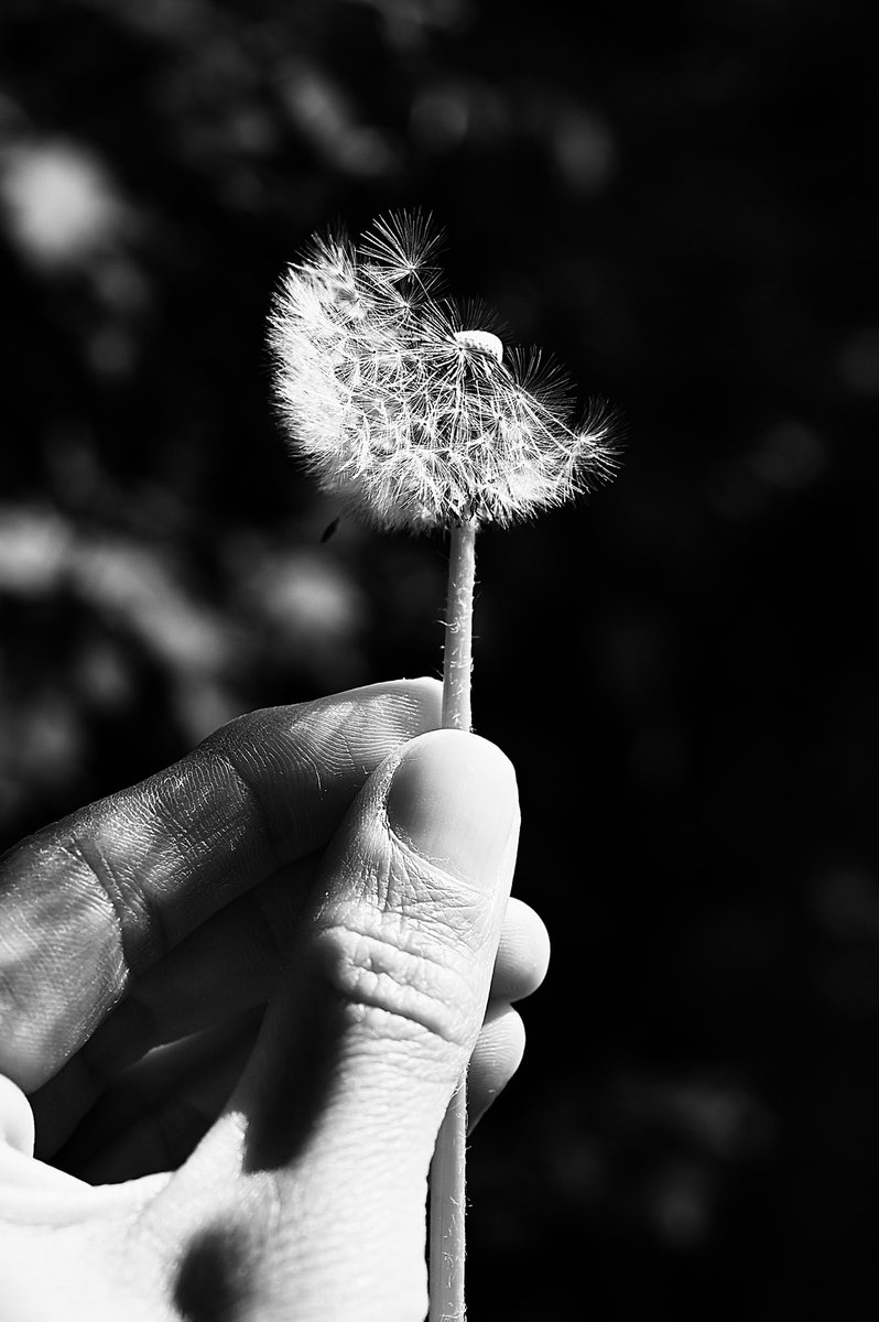 Meda Mládková
1919-2022
🕊🤍