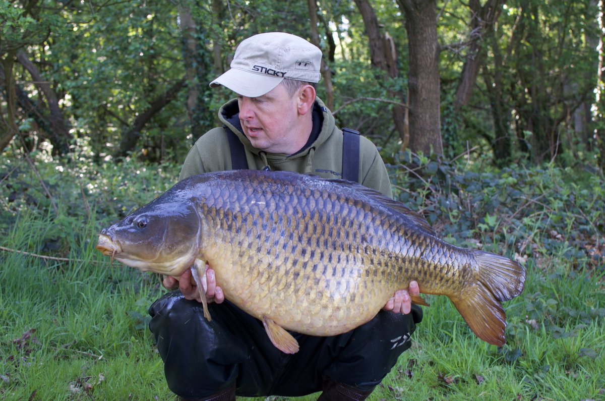 Infantrycarpers tweet media