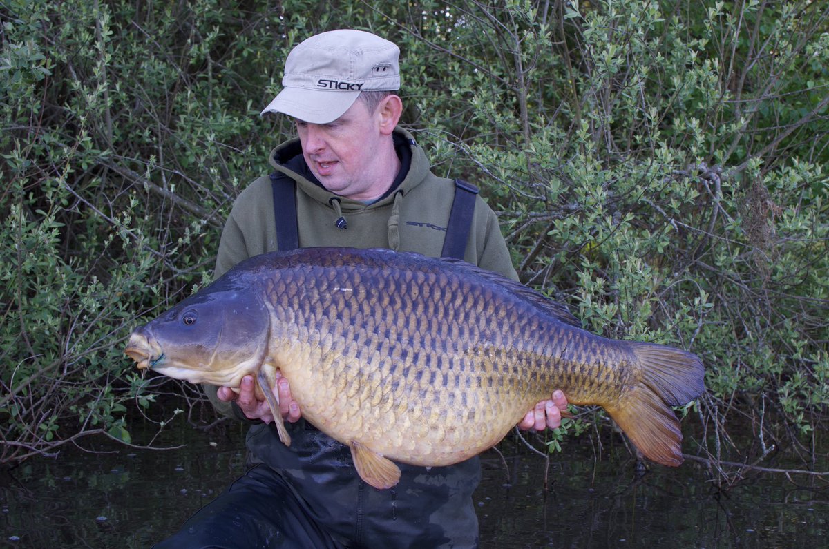 Infantrycarpers tweet media