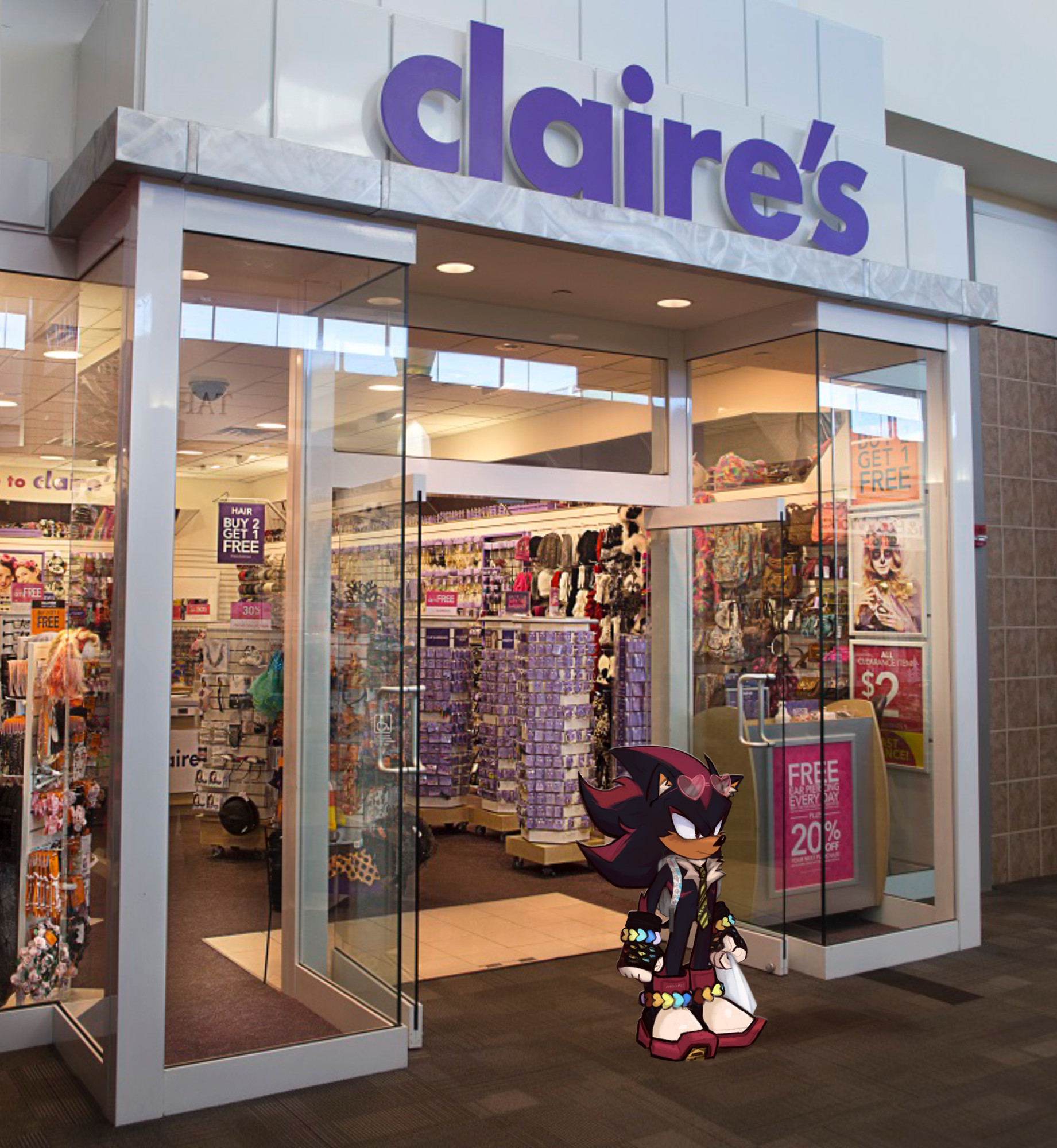 Shadow the Hedgehog went to Claire's and inspired a new meme trend