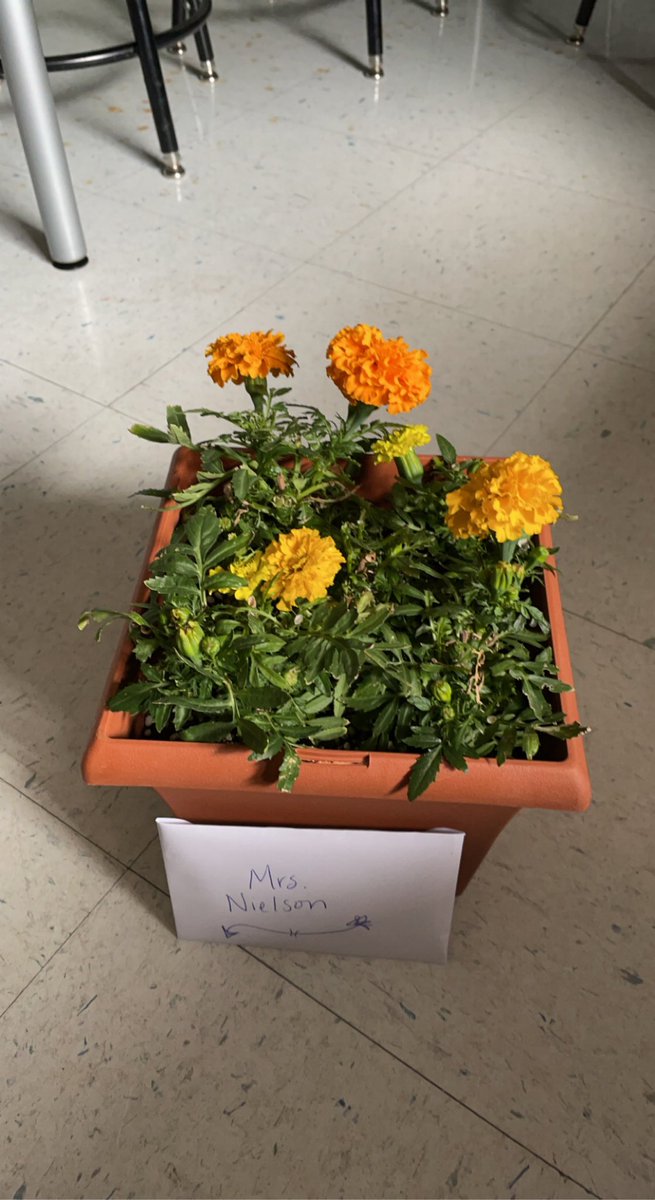 Lunch from Golden Chick and some sweet gifts today - feeling all the teacher appreciation today❤️