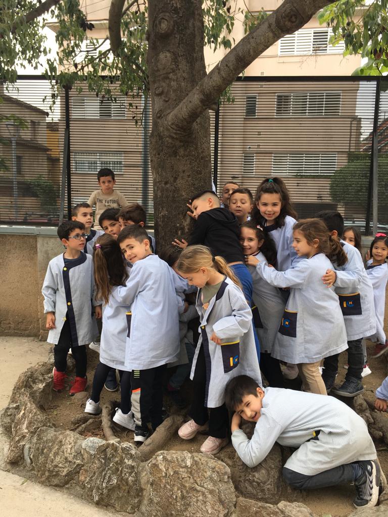 joanpacn's tweet photo. Aprofitem l'entorn i  els patis de la nostra escola @immaculadahorta per estudiar el tema de les plantes. Quina sort estar envoltats de natura!!! 🌳🌱🌿🪴🌷🌺 https://t.co/DK7sRBgPUY