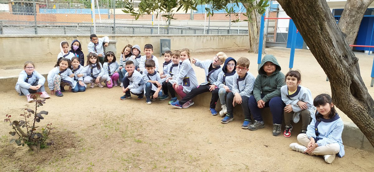 joanpacn's tweet photo. Aprofitem l'entorn i  els patis de la nostra escola @immaculadahorta per estudiar el tema de les plantes. Quina sort estar envoltats de natura!!! 🌳🌱🌿🪴🌷🌺 https://t.co/DK7sRBgPUY