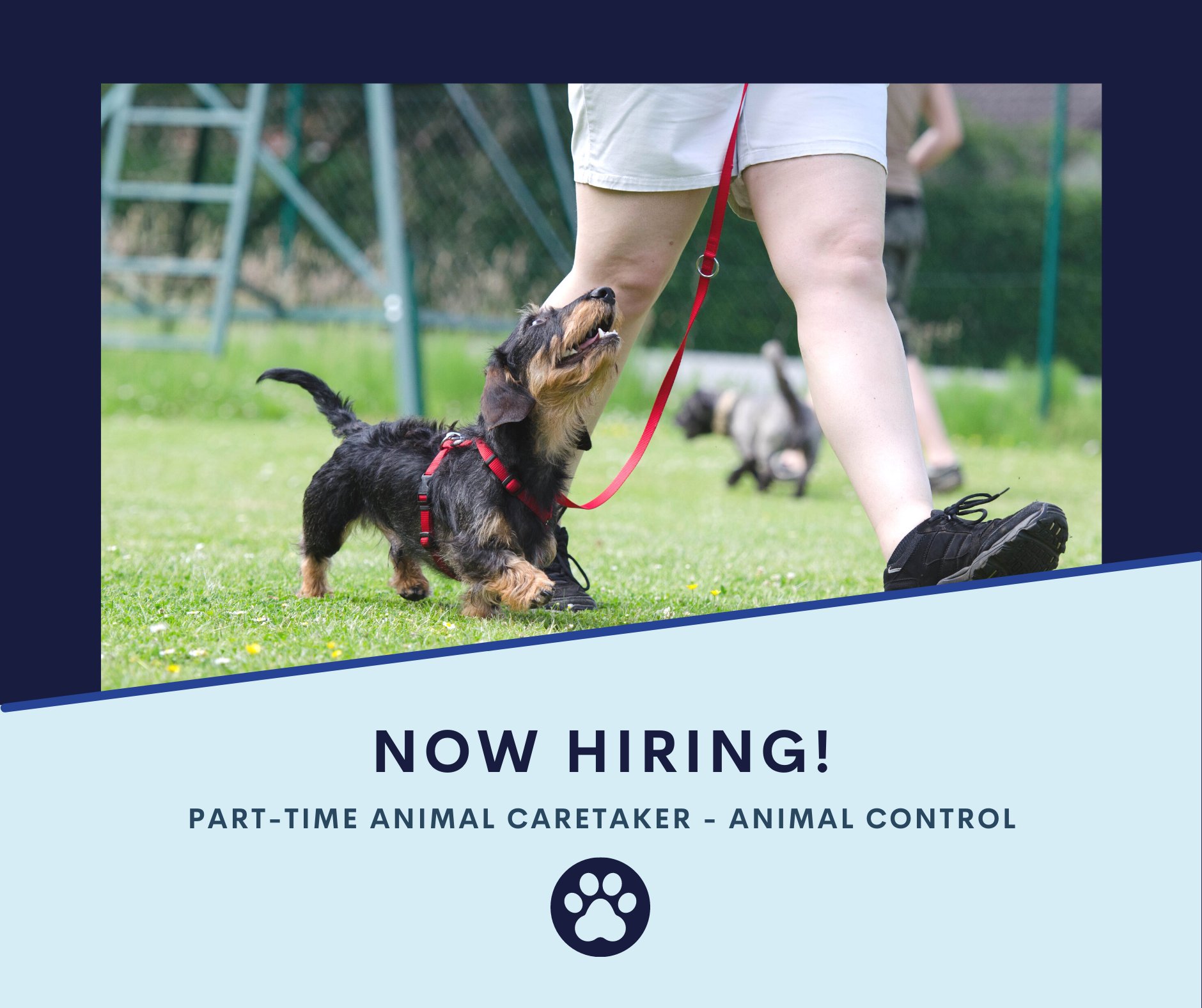 Virginia Beach PD on Twitter "Virginia Beach Animal Control, of the 