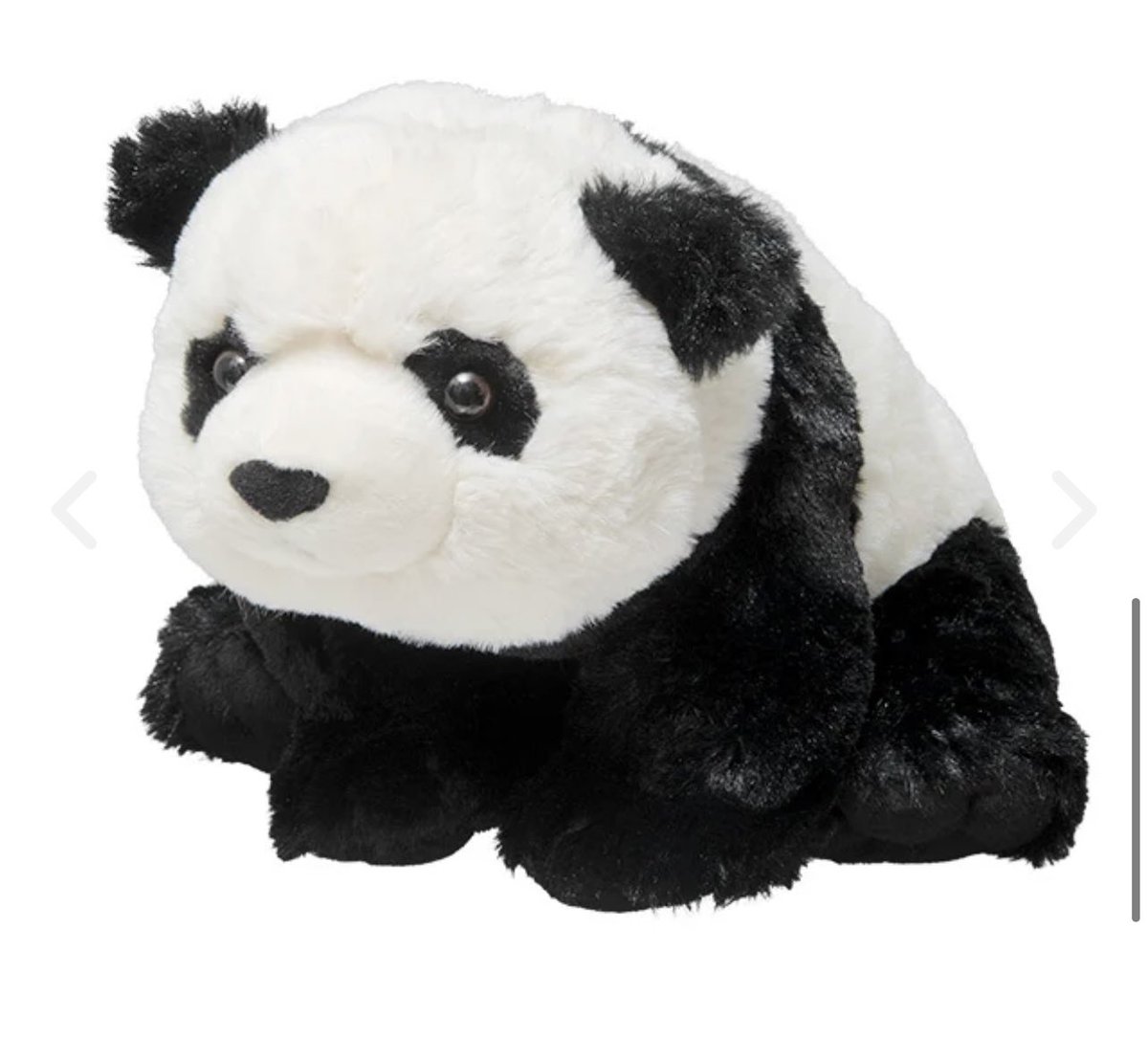 Frenly Pandas 🐼 tweet media