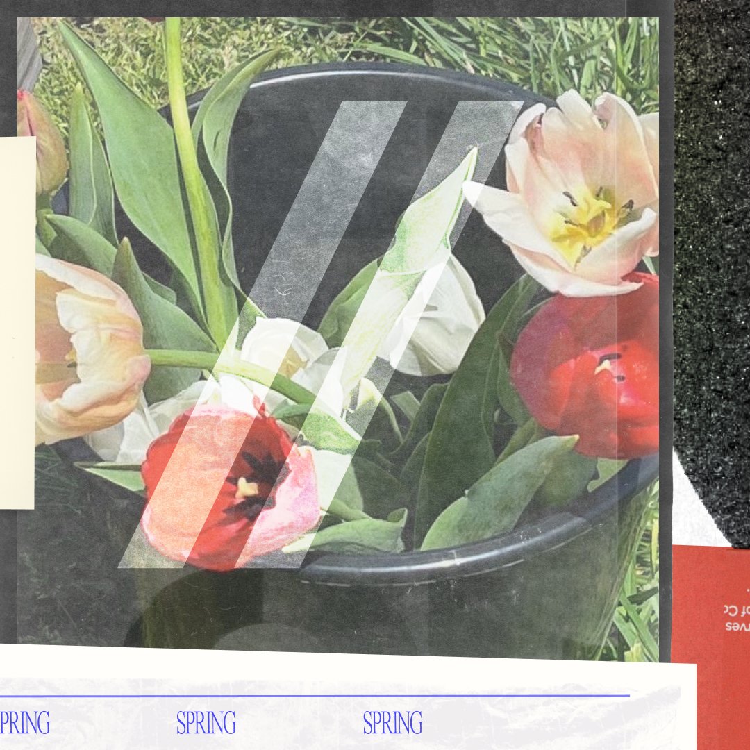 EDITION STUDIOS tweet media